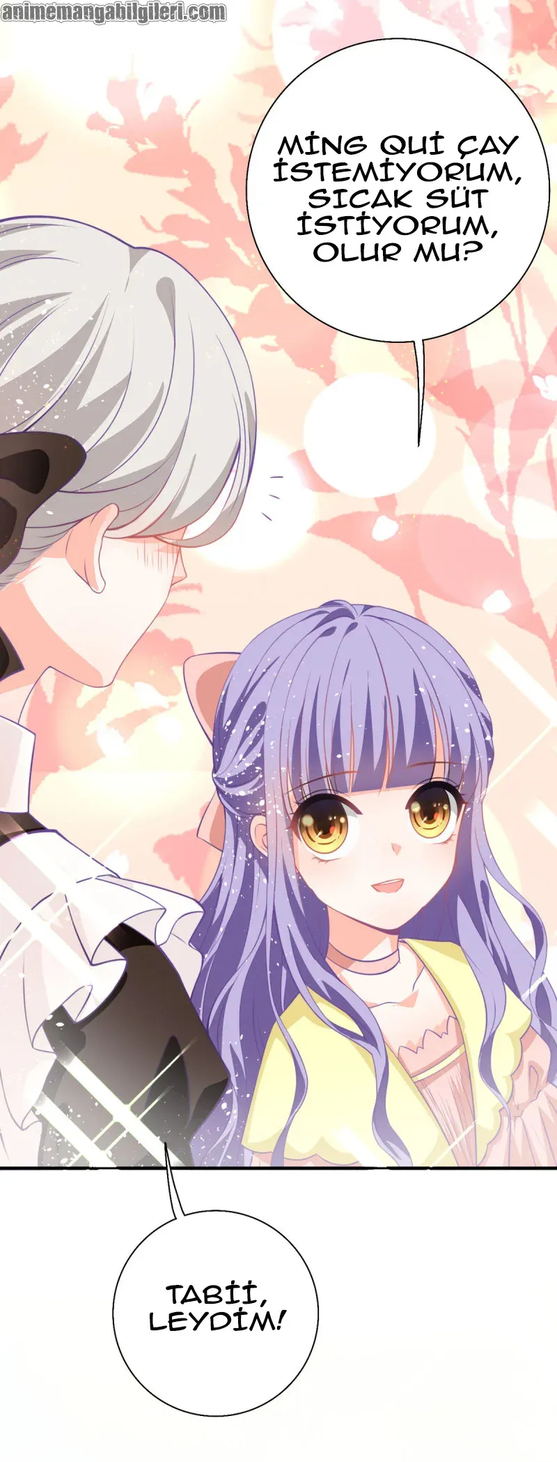Sayfa 5