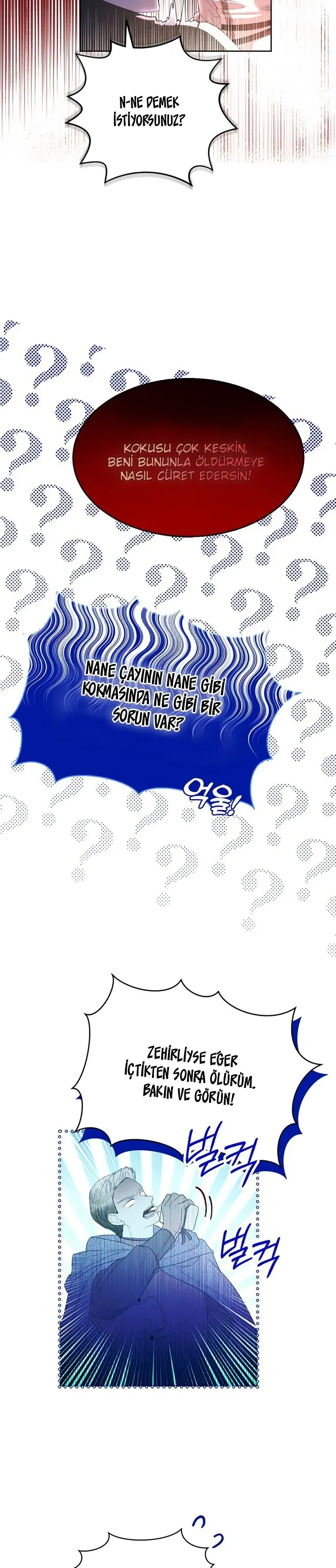 Sayfa 4