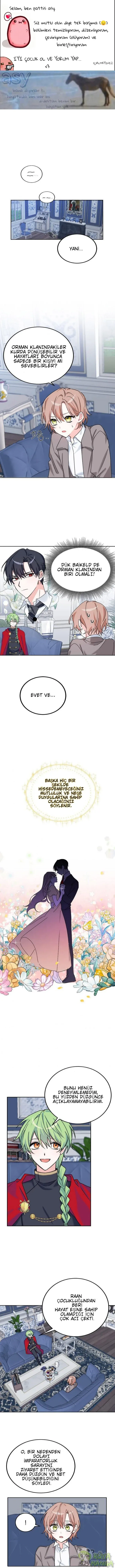 Sayfa 1