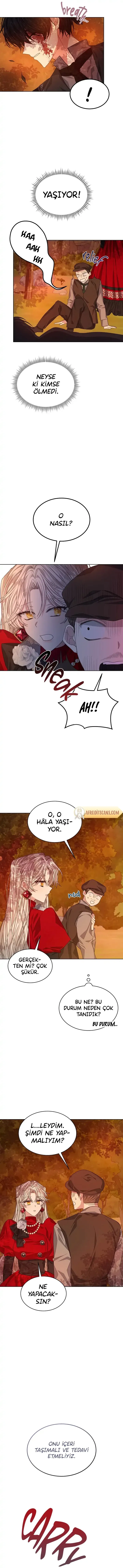Sayfa 5