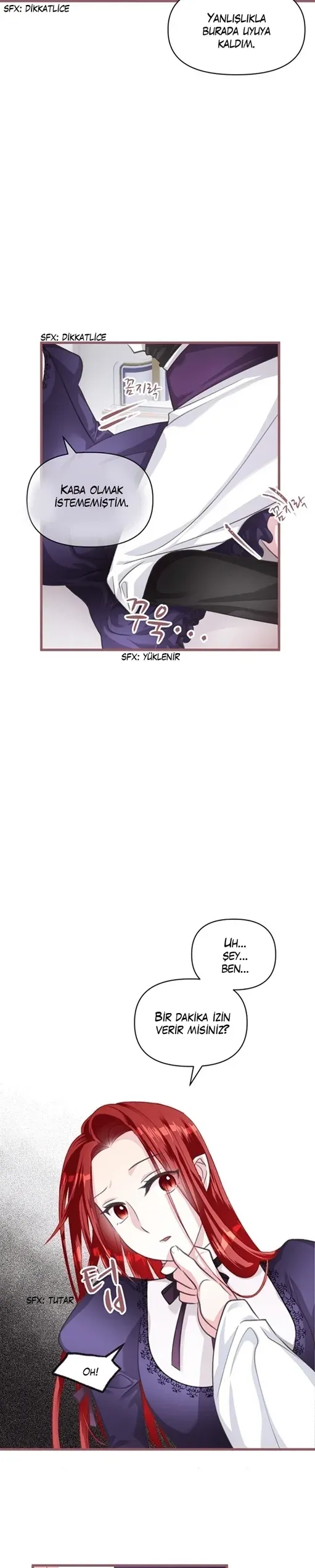 Sayfa 5