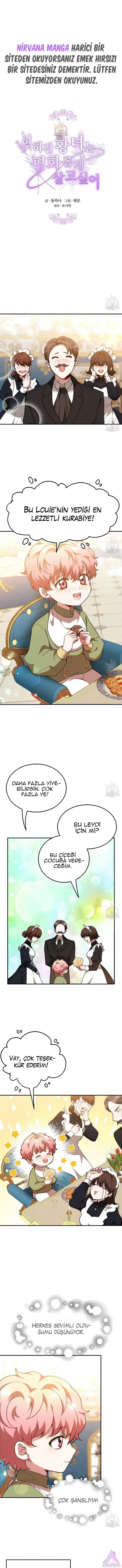 Sayfa 1