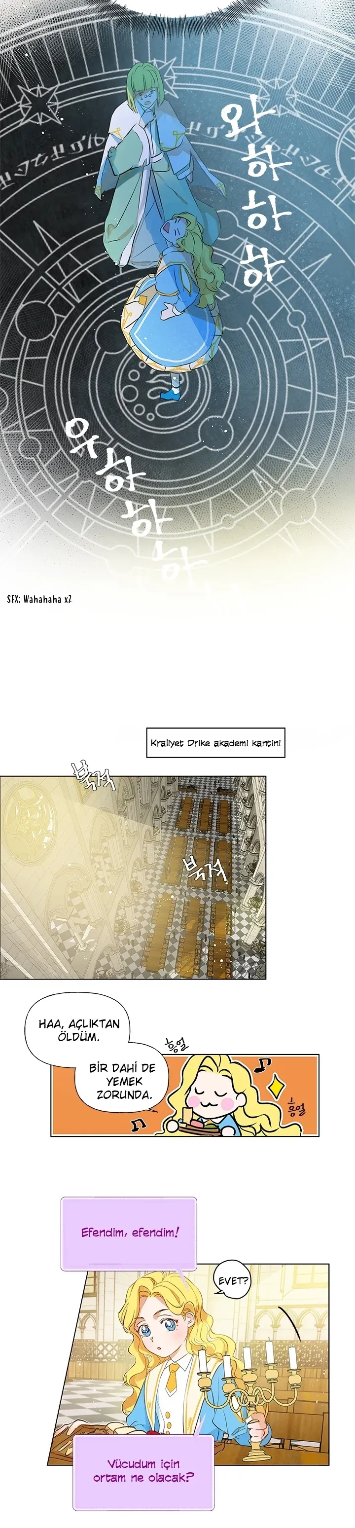 Sayfa 6