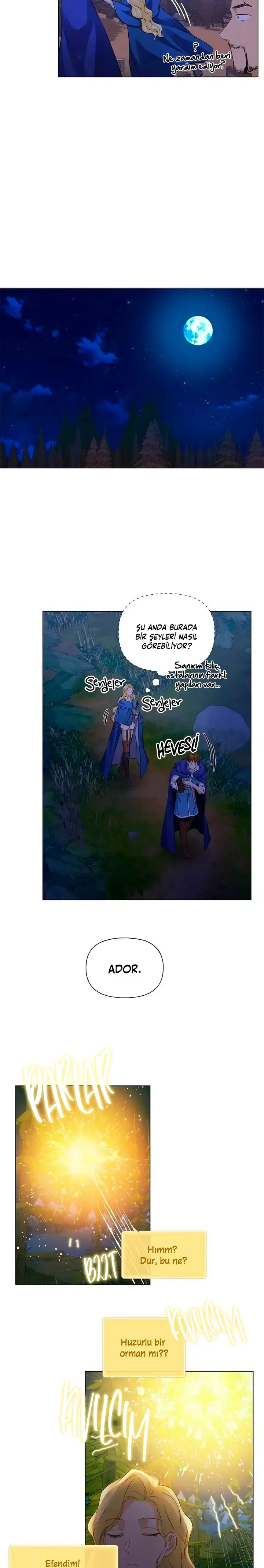 Sayfa 4