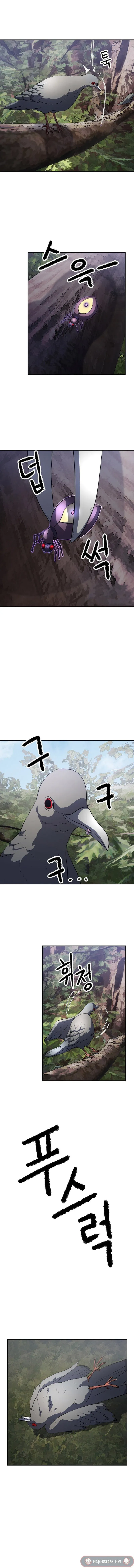 Sayfa 5
