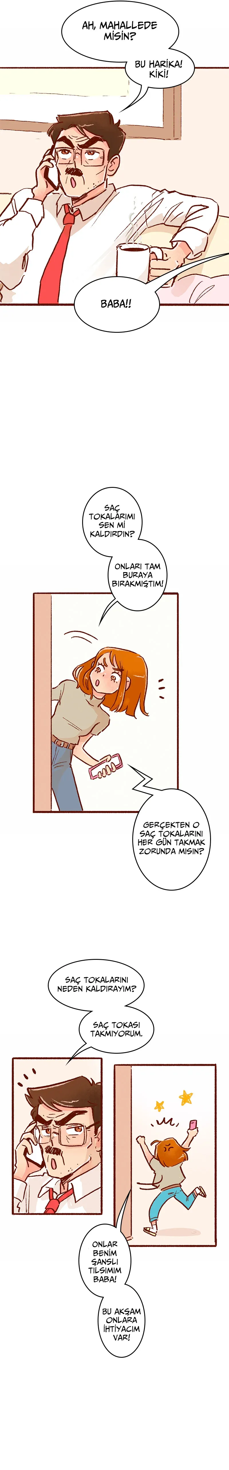Sayfa 5