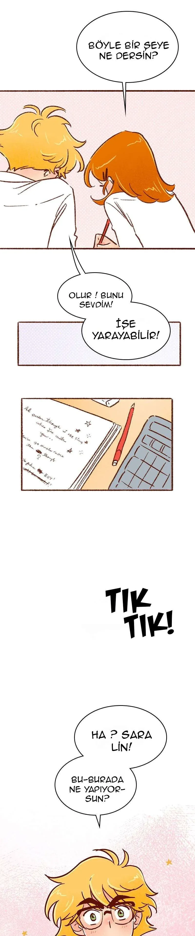 Sayfa 4