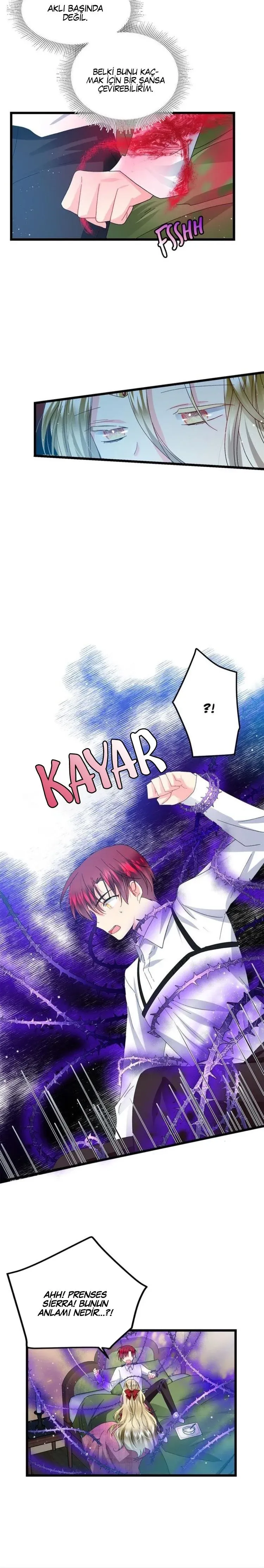 Sayfa 5
