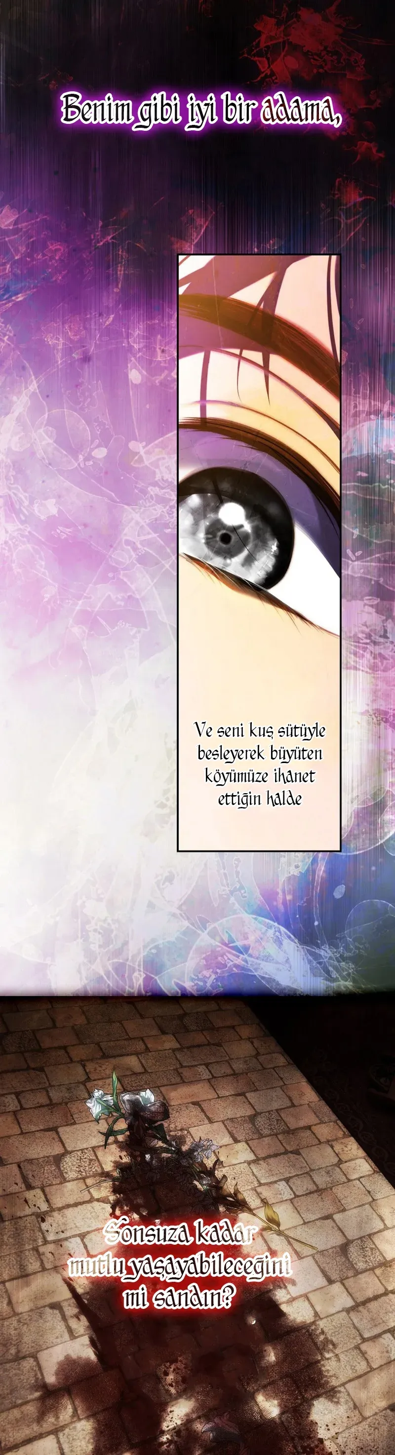 Sayfa 5