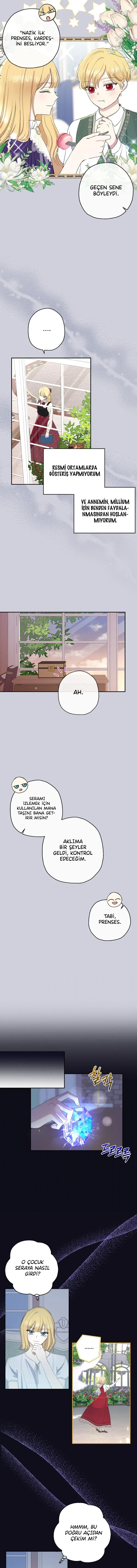 Sayfa 5