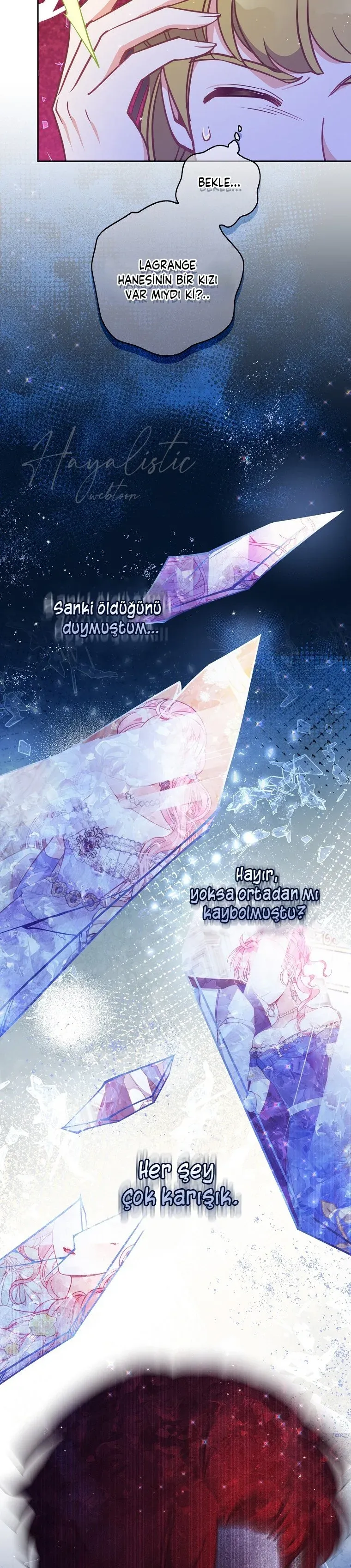Sayfa 6