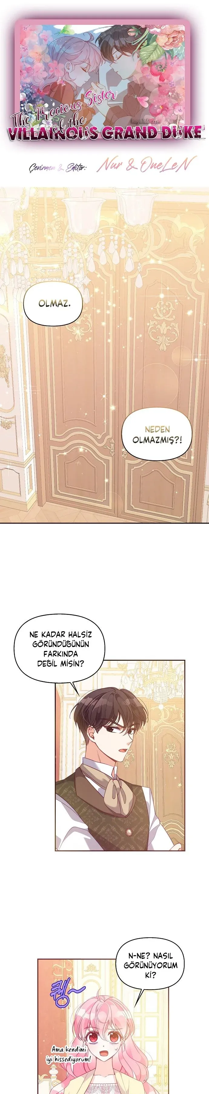 Sayfa 1