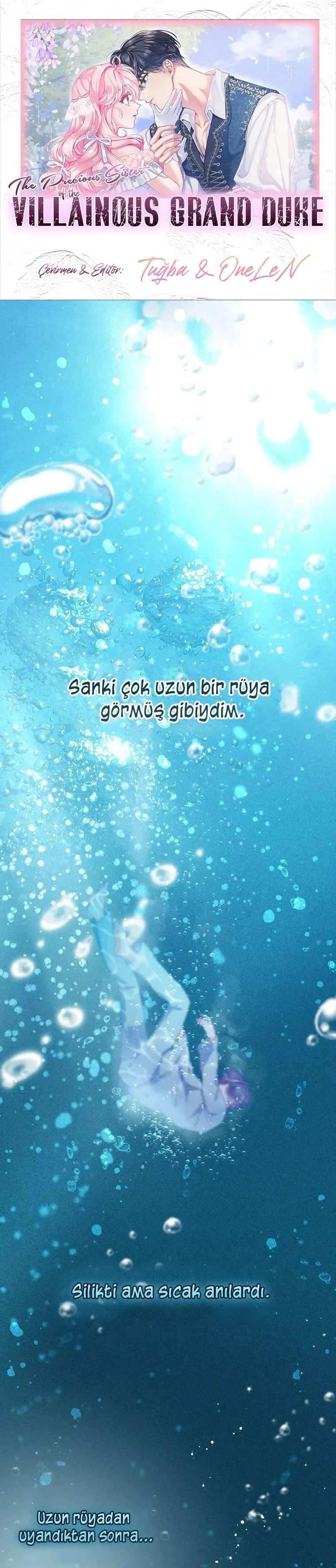 Sayfa 1