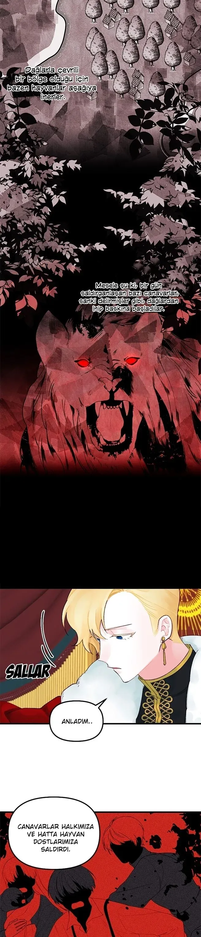 Sayfa 5
