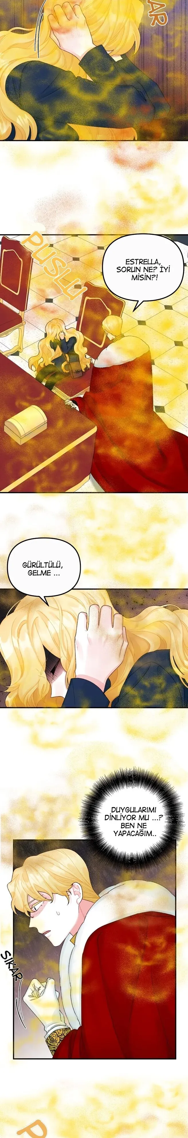Sayfa 5