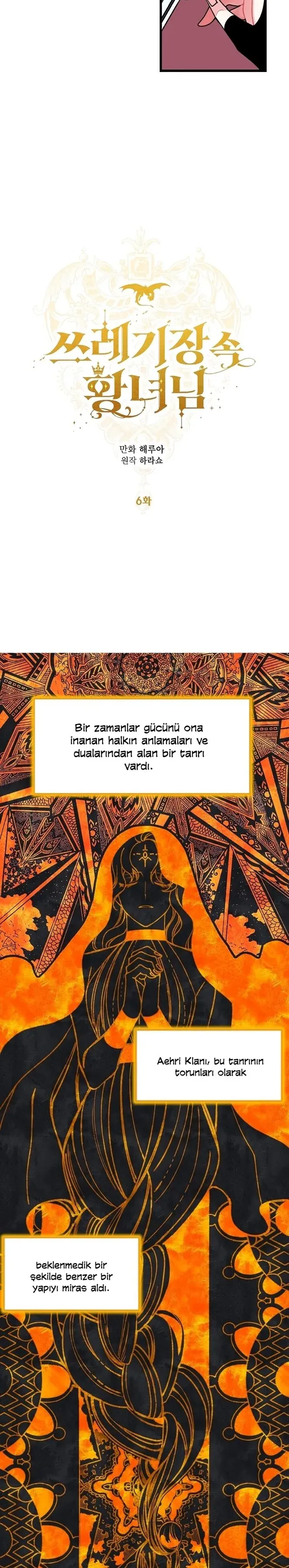 Sayfa 6