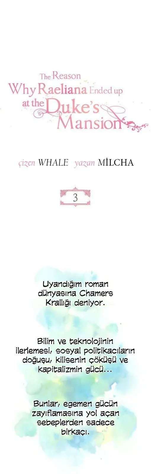 Sayfa 2