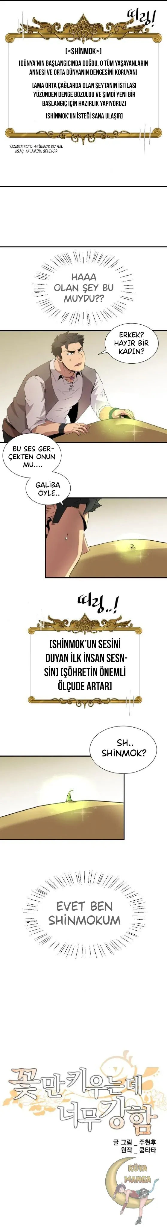 Sayfa 1