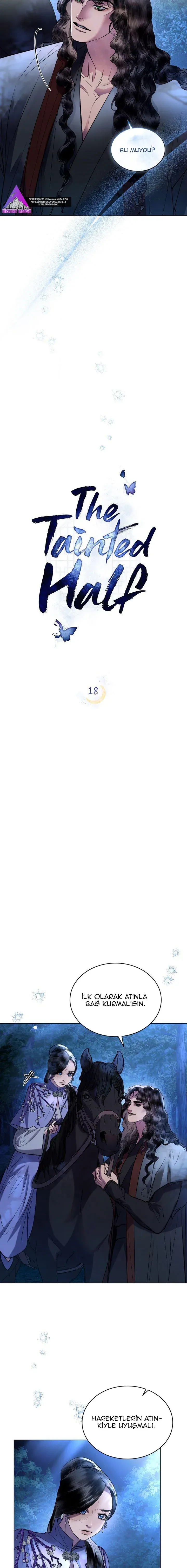Sayfa 6