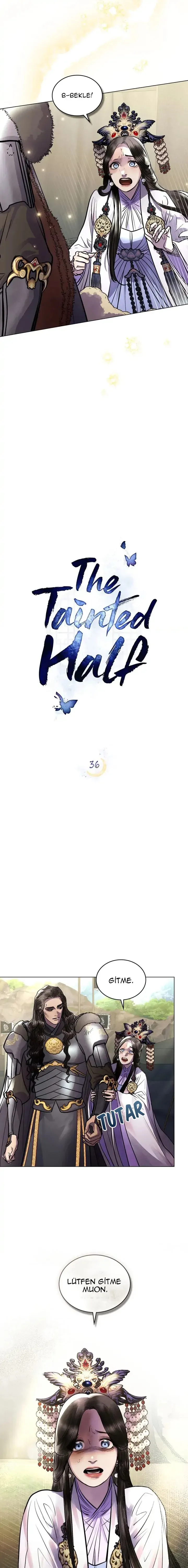 Sayfa 6