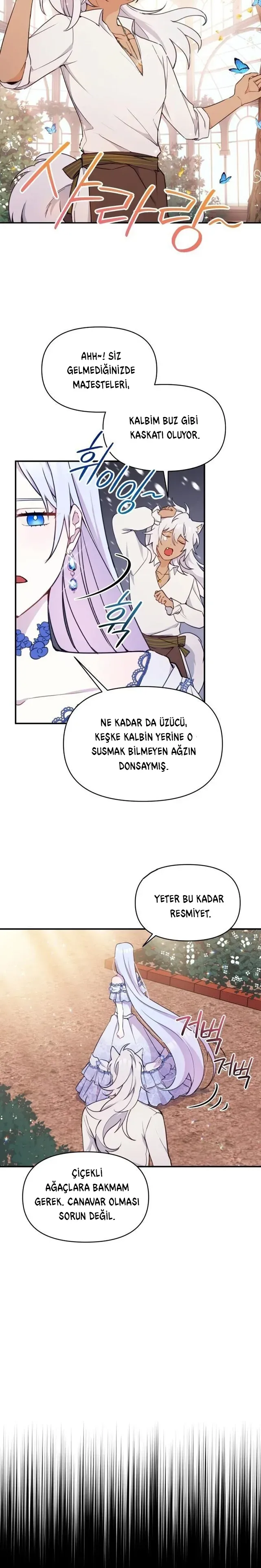 Sayfa 5