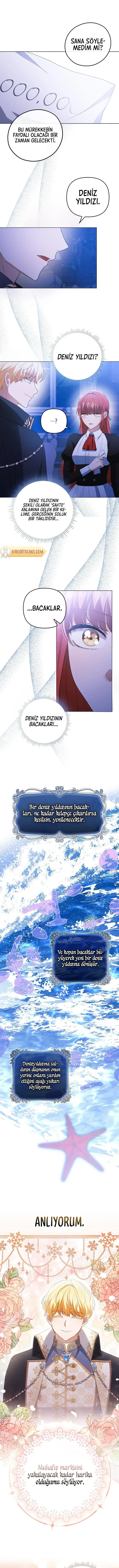 Sayfa 1