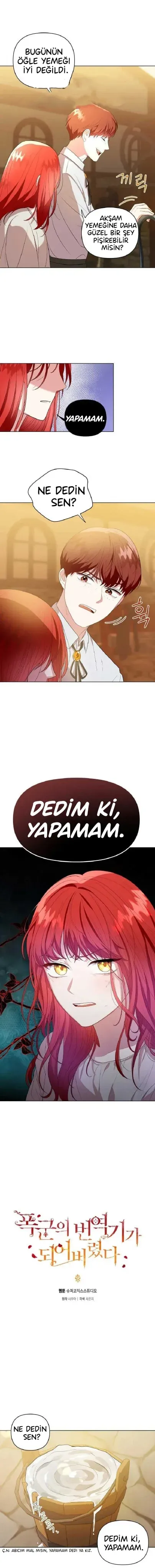 Sayfa 1