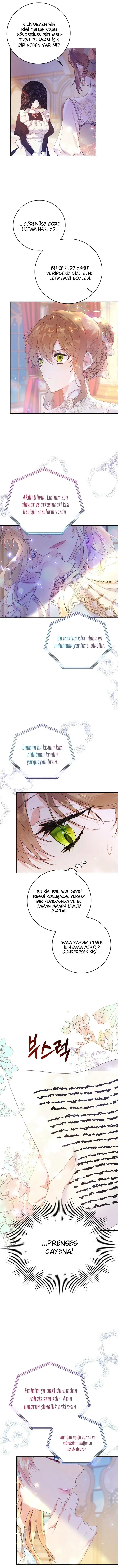 Sayfa 6