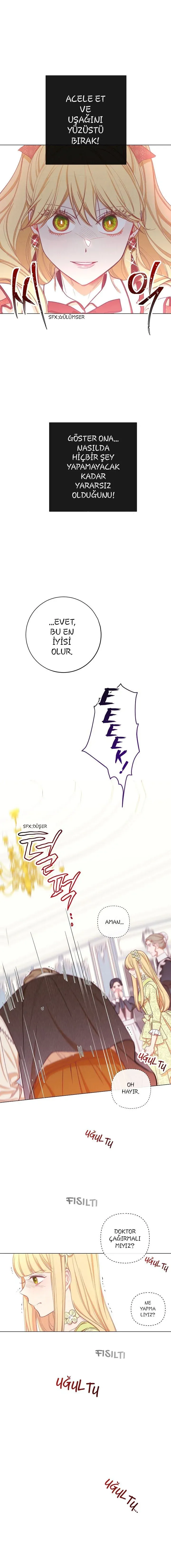 Sayfa 5
