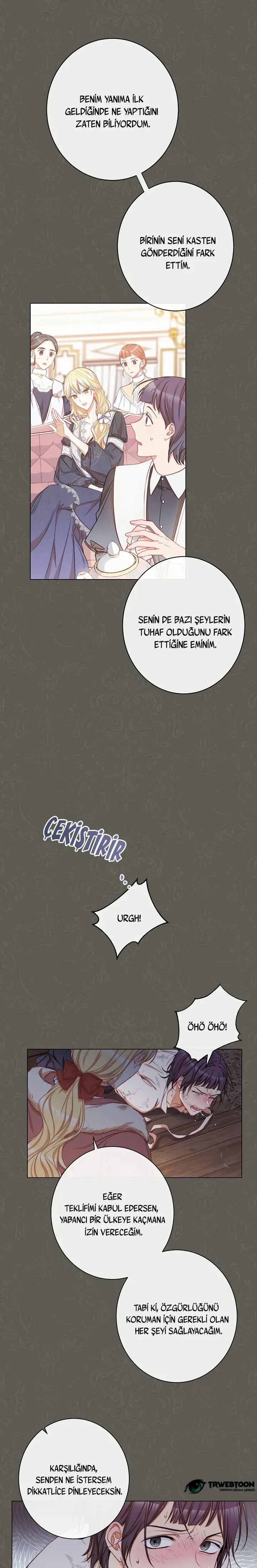 Sayfa 5