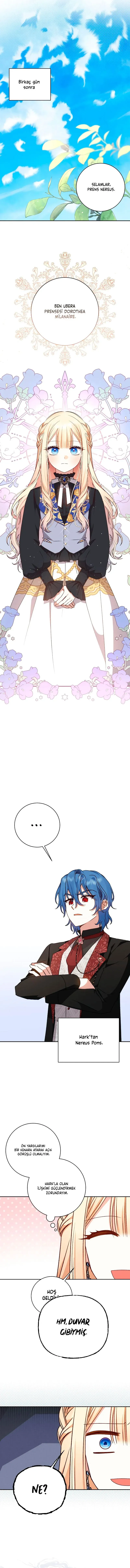 Sayfa 5