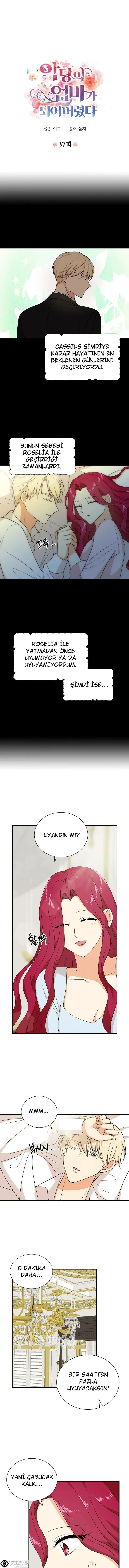 Sayfa 1