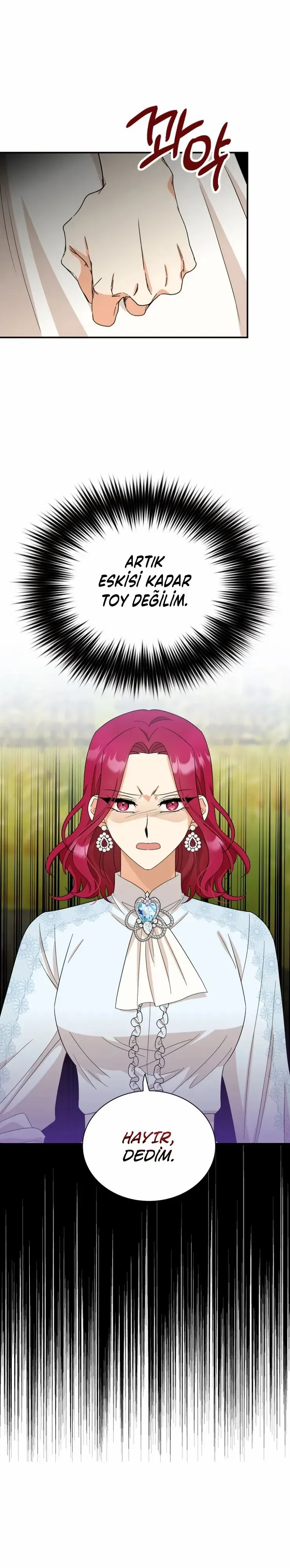 Sayfa 1