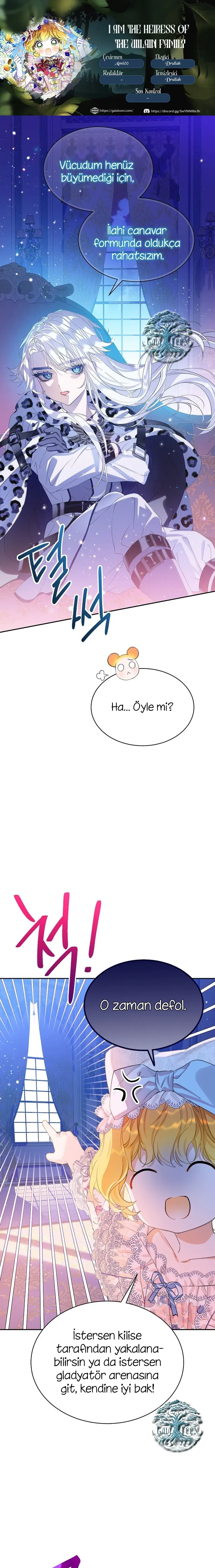 Sayfa 1