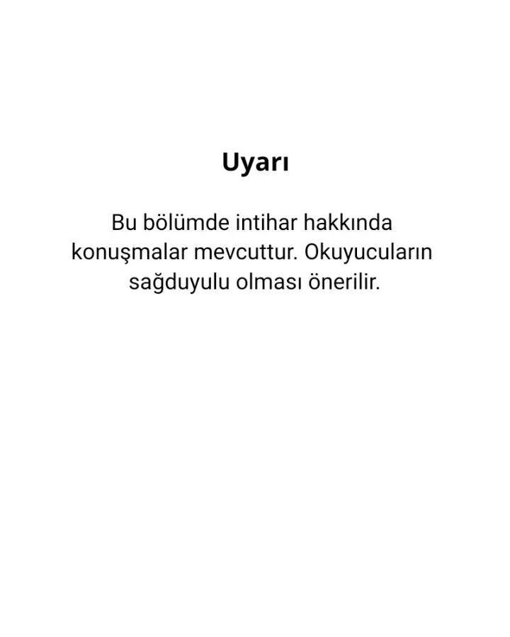 Sayfa 2