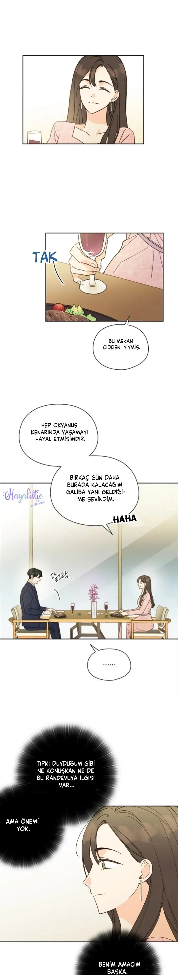 Sayfa 2