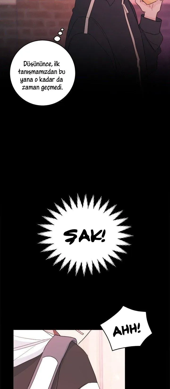 Sayfa 4