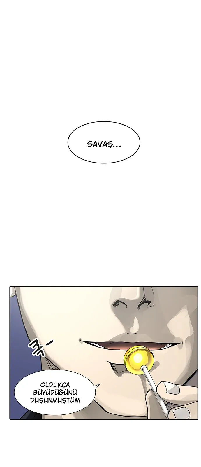 Sayfa 5