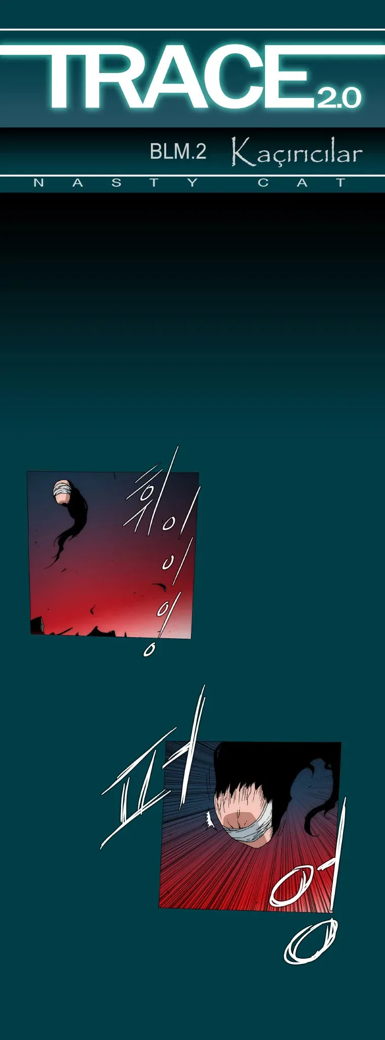 Sayfa 1