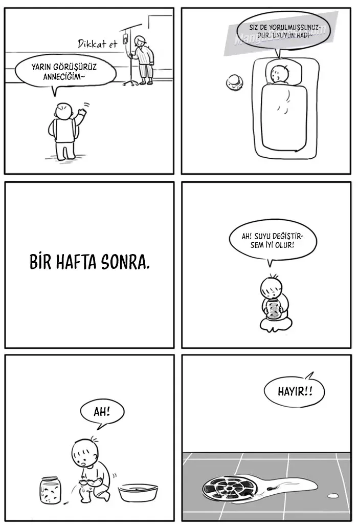 Sayfa 4