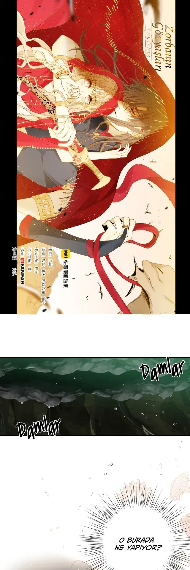 Sayfa 2