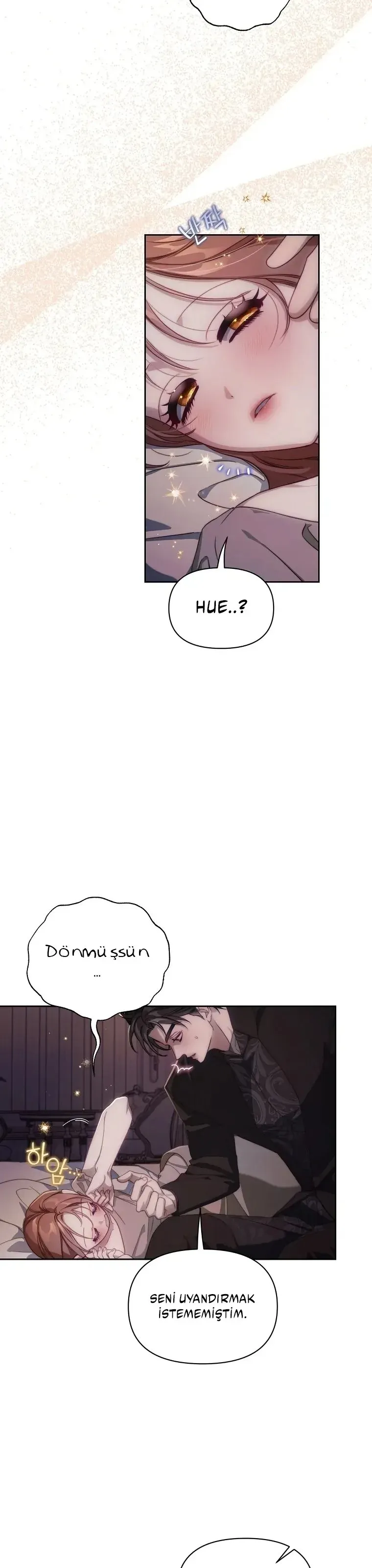 Sayfa 6