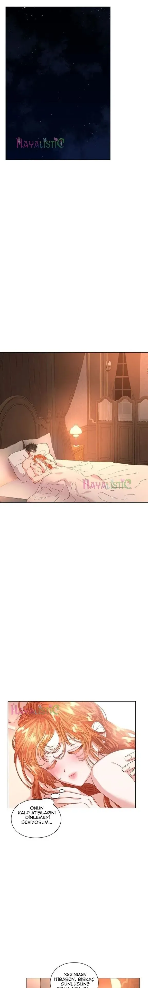 Sayfa 2