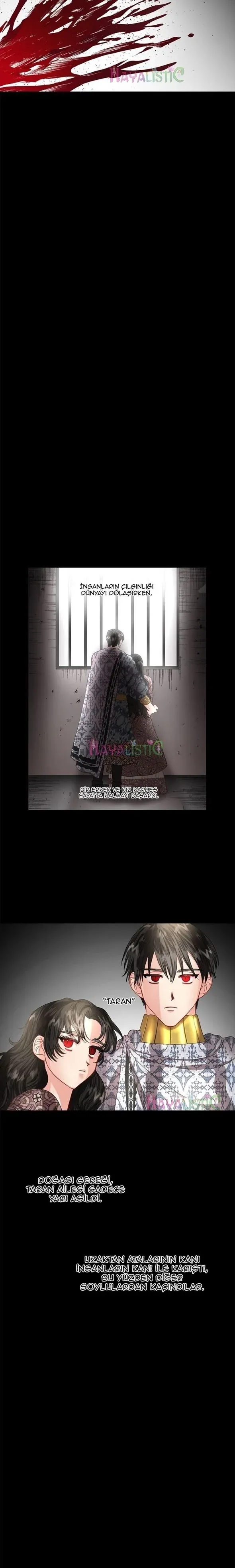 Sayfa 6