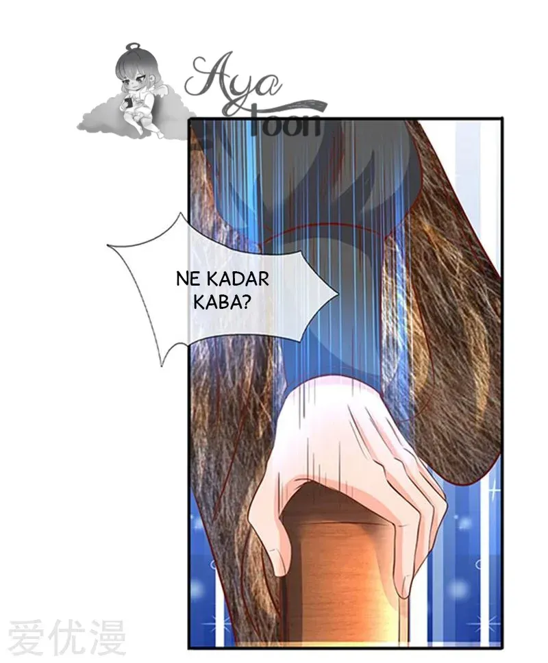 Sayfa 5