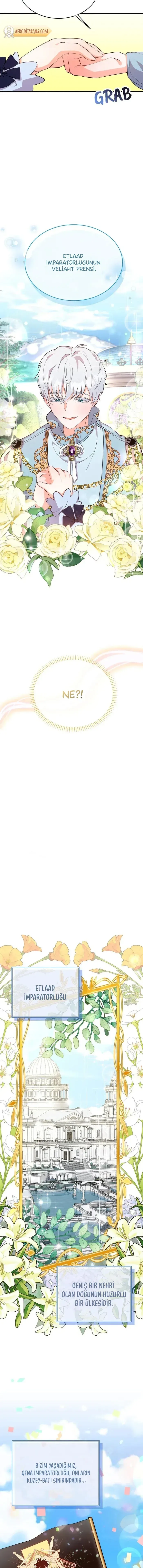 Sayfa 6