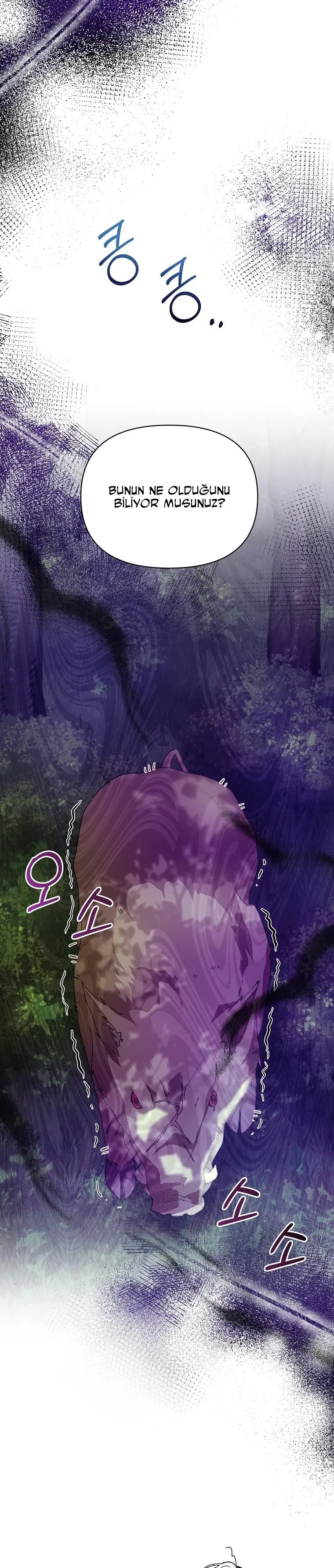 Sayfa 6