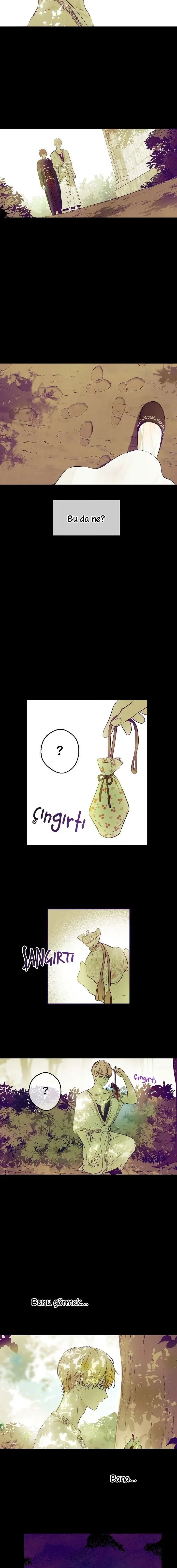 Sayfa 6
