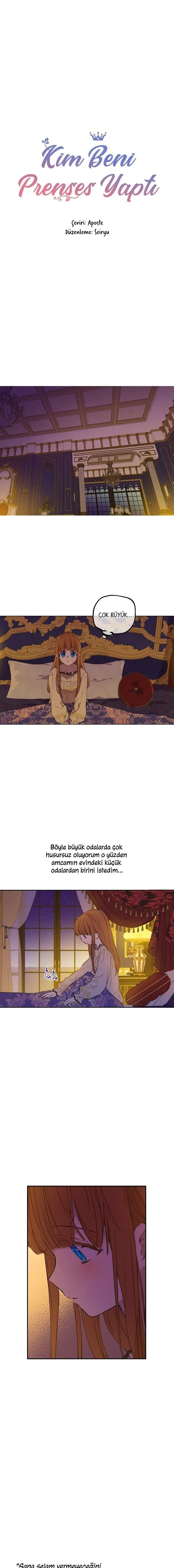 Sayfa 1
