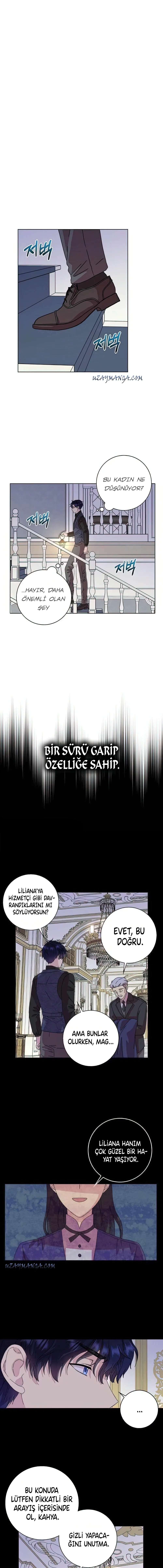 Sayfa 1